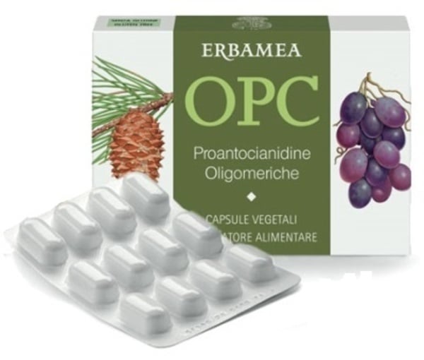 OPC 24CPS VEG S/GL 500MG ERBAMEA
