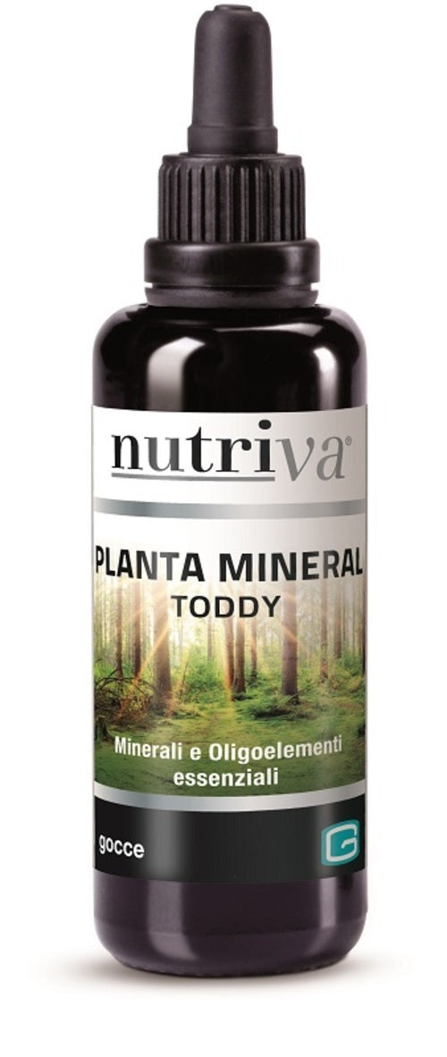 NUTRIVA PLANTA MINERAL TODDY
