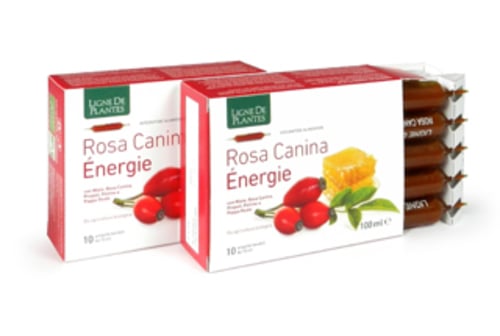 ROSA CANINA ENERGY 10FLL 10ML
