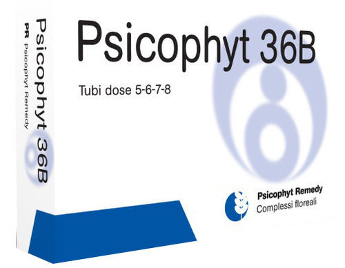 PSICOPHYT REMEDY 36B 4TUB 1,2G