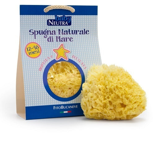BABY NEUTRA SPUGN NAT12/48MESI