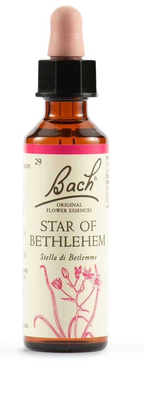 BACH STAR OF BETHL ORIG 20ML