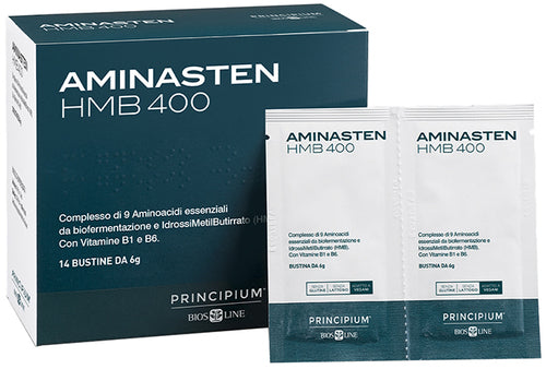 PRINCIPIUM AMINASTEN HMB400 14