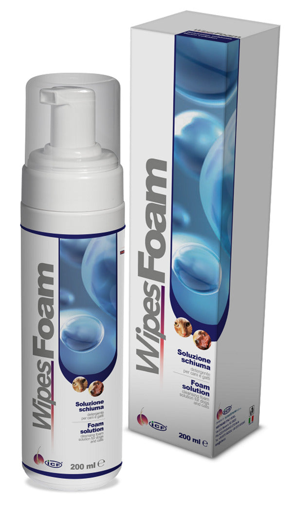WIPES FOAM 200ML