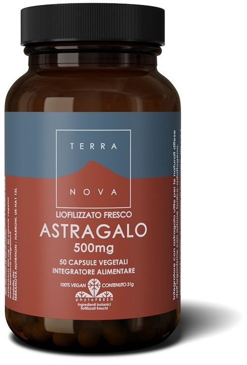 TERRANOVA ASTRAGALO 50CPS