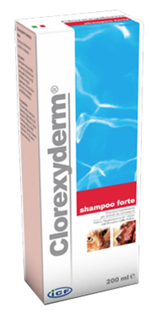 CLOREXYDERM FORTE*SHAMPOO 200M