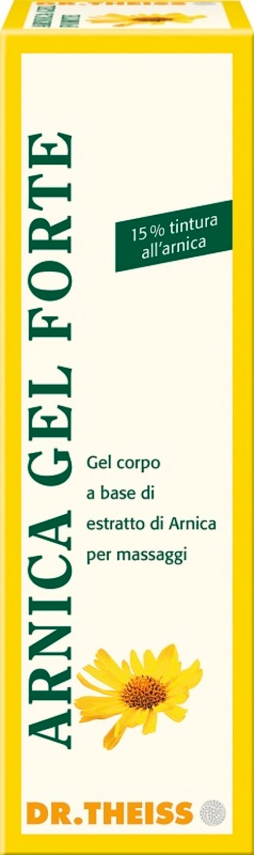 DR THEISS ARNICA GEL FTE 100