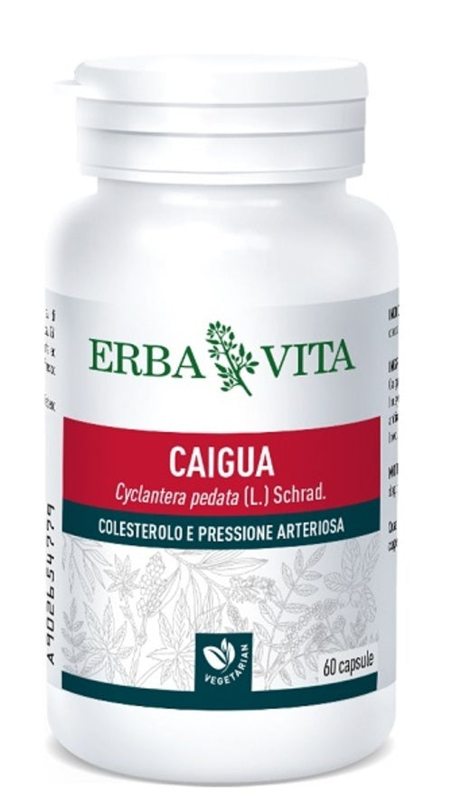 CAIGUA 60CPS 400MG  ERBAVITA