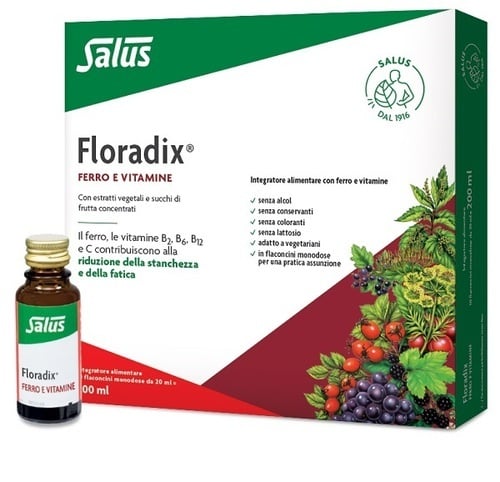 FLORADIX-FERRO 10 FLACONCINI20ML