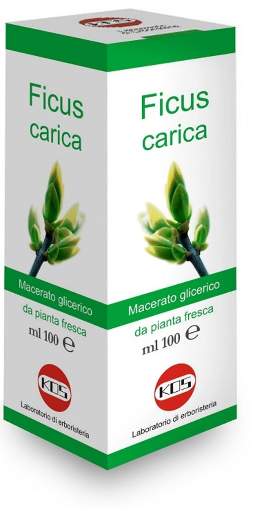 FICUS CARICA MG 100ML GTT