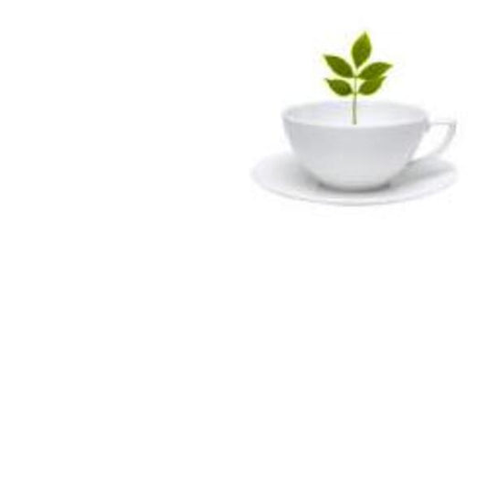 TISACELL MISC ERBE 100G SALUS