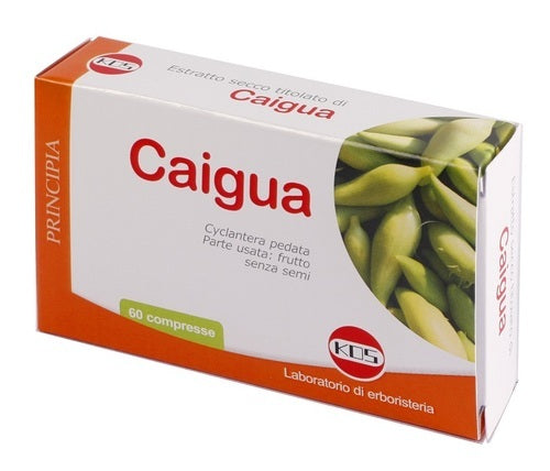 CAIGUA ESTR SEC 60CPR KOS