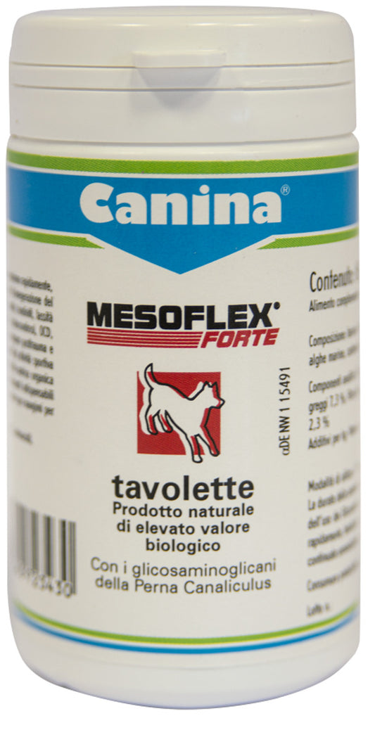 MESOFLEX FORTE 60 TAV