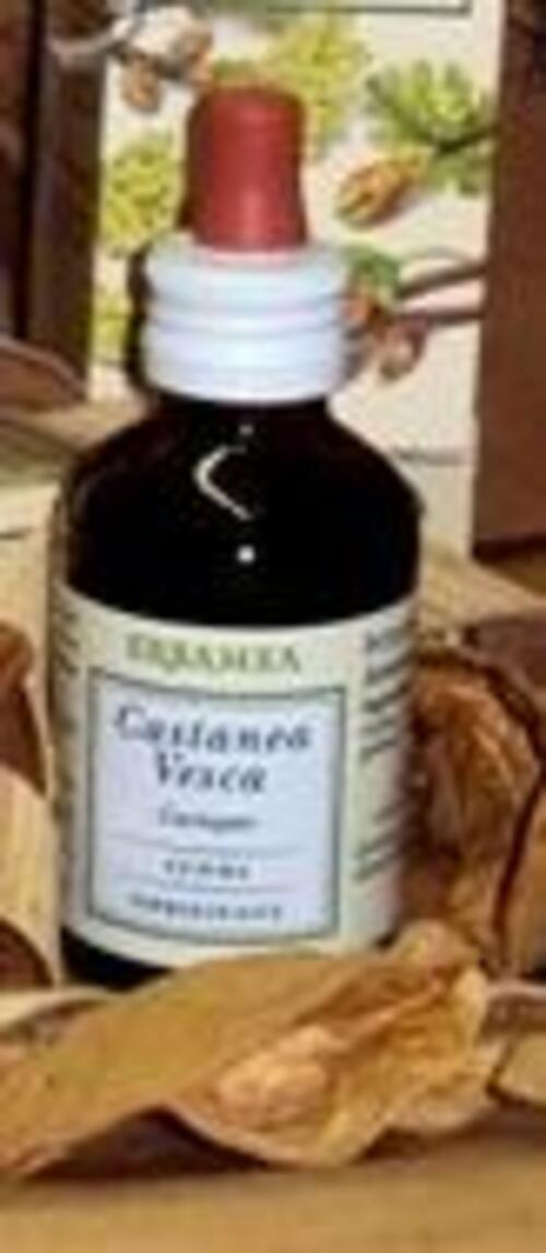 CASTANEA VESCA GEMME GEMMODER