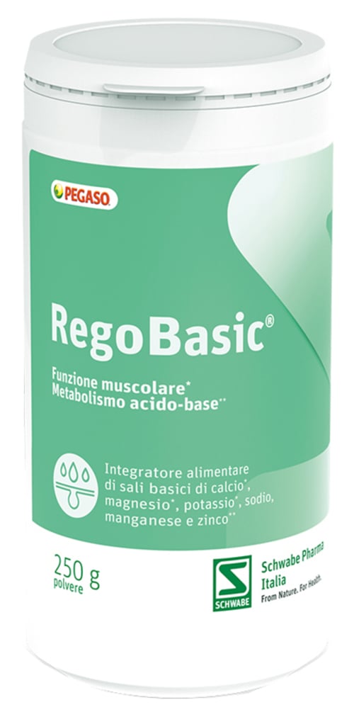 REGOBASIC POLVERE 250G