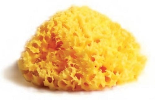 SPUGNA NAT MEDITE LAB ATENEI12