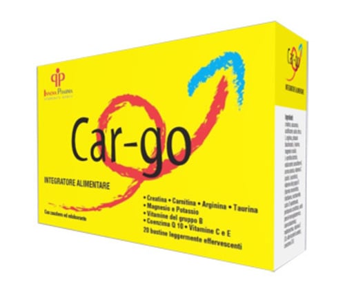 CAR-GO 20BUST 4G