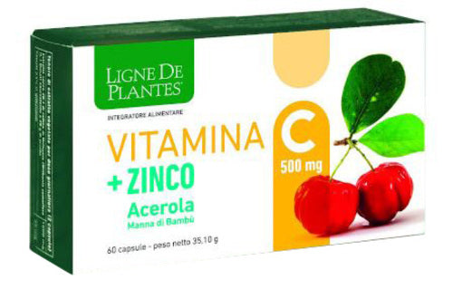 VITAMINA C 500MG+ZI/AC/BA60CPS