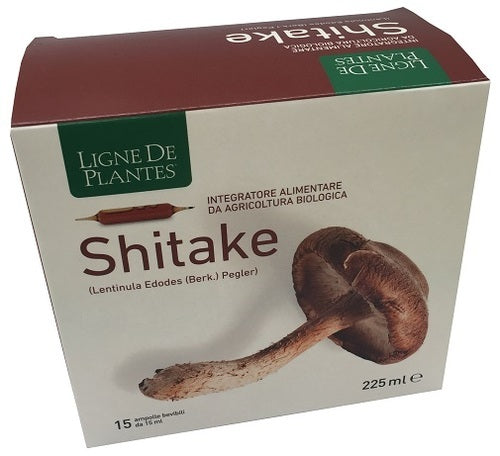 LIGNE SHITAKE BIO 15AMP 15ML