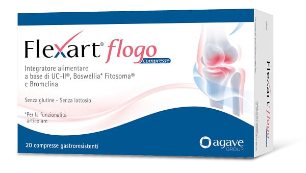 FLEXART FLOGO 20CPR