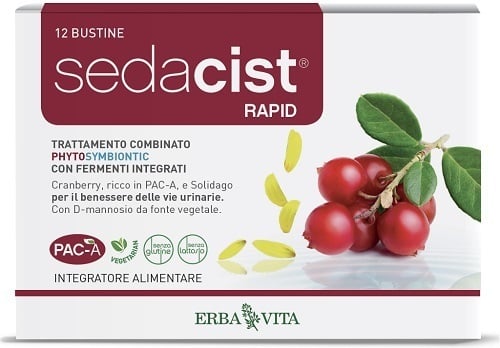 SEDACIST RAPID 6+6BUST