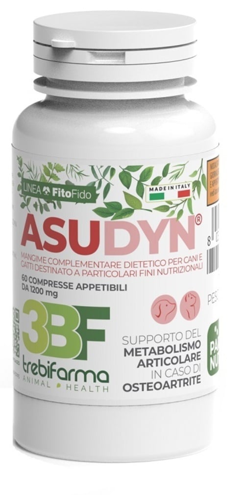 ASUDYN 60CPR