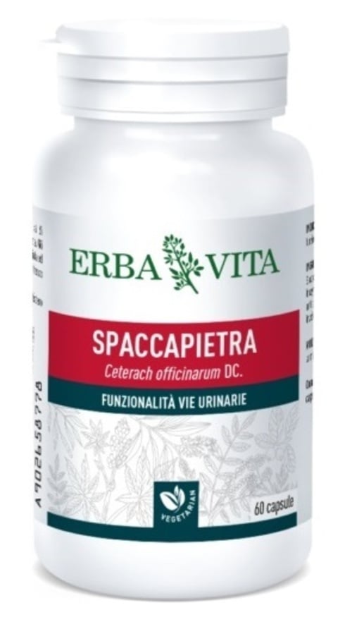 SPACCAPIETRA 60CPS N/F ERBAVIT
