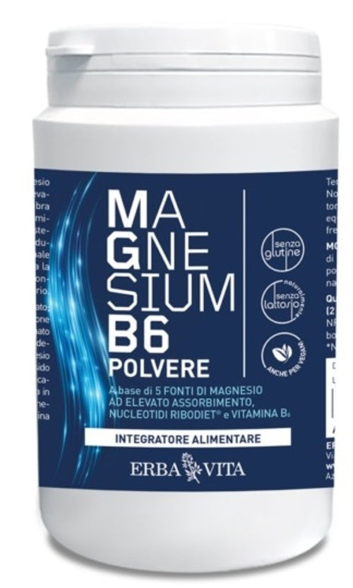 MAGNESIUM B6 POLV 200GR ERBA V