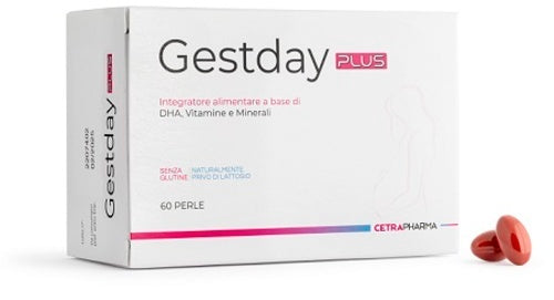 GESTDAY PLUS 60PRL