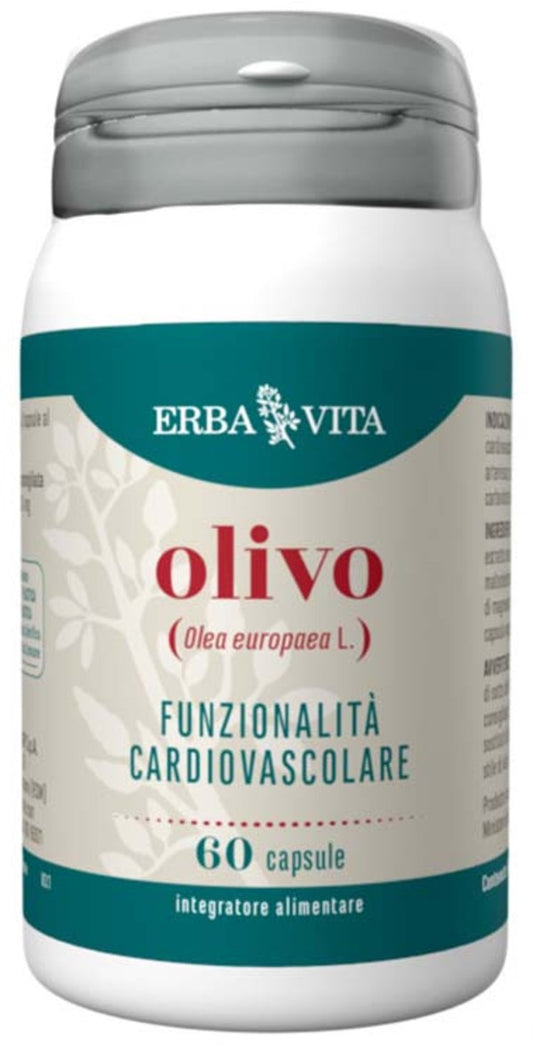 OLIVO 60CPS