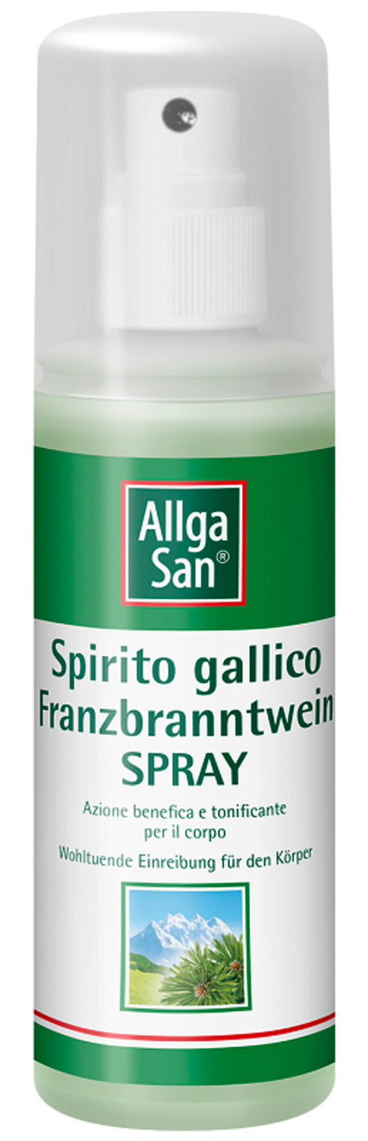 ALLGA SAN SPIRITO GALLICO SPR