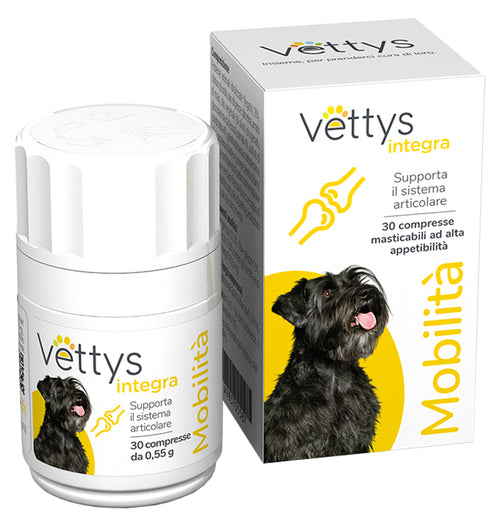 VETTYS INTEGRA MOBILITA' CANE