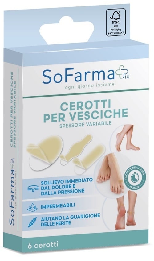 CEROTTO VESCICA ASSORTITO 6P SF+